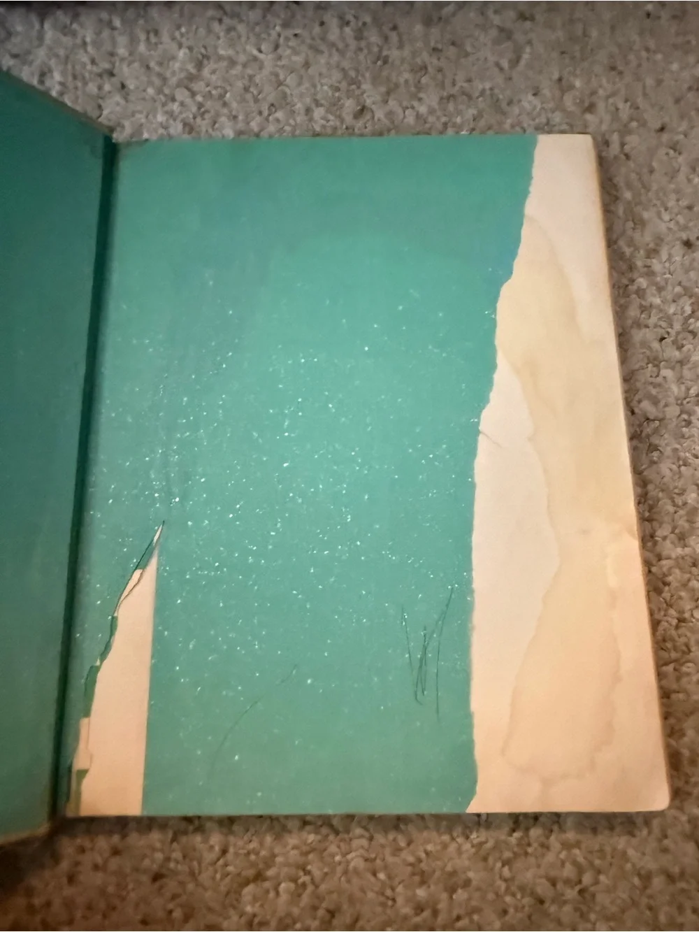 N/A decorative illustrated